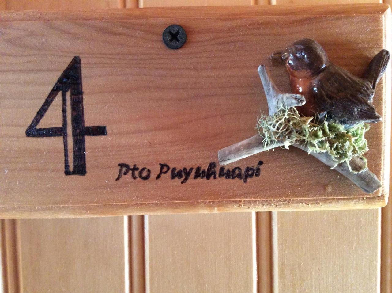 Los Manios Del Queulat Puyuhuapi Buitenkant foto